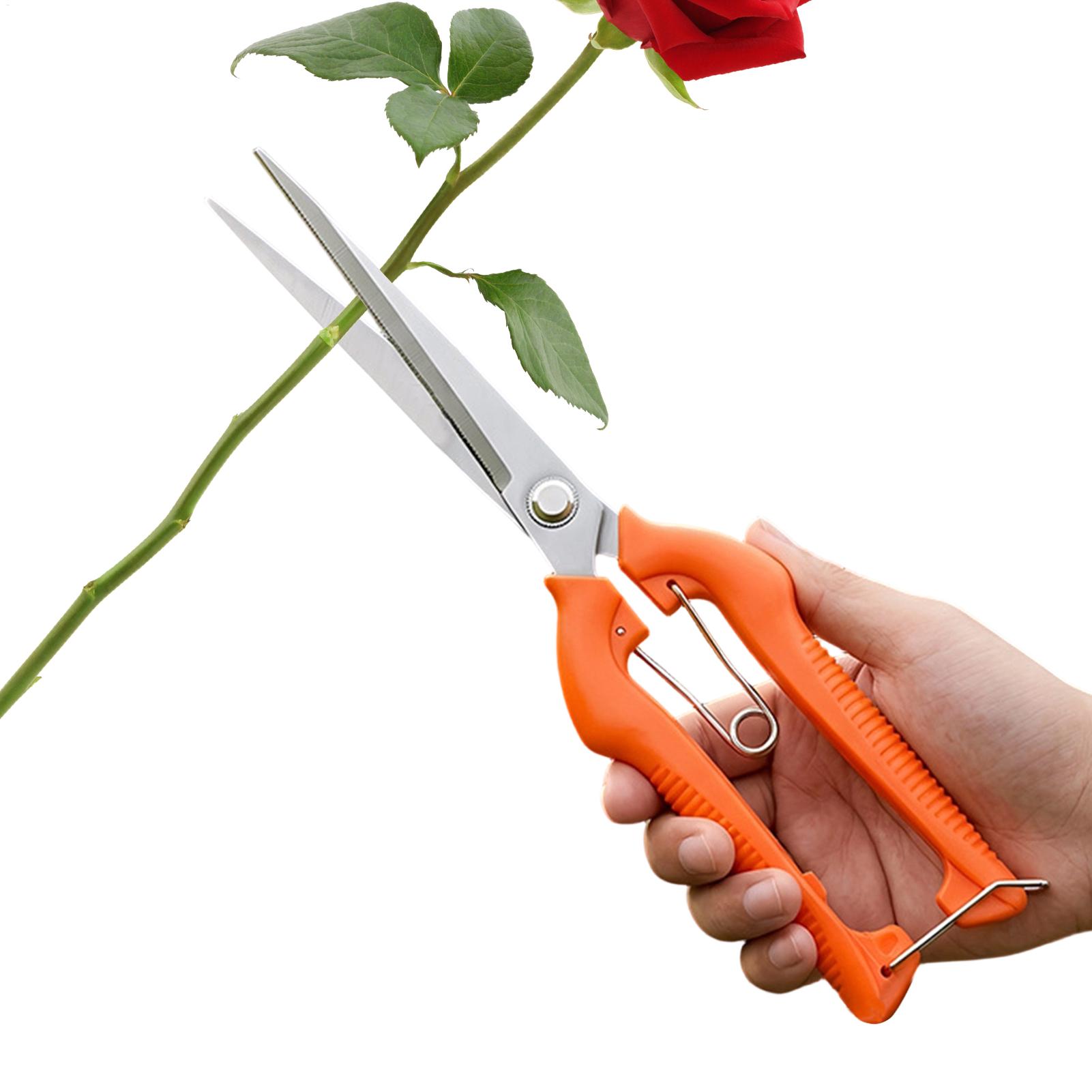 Gardening Tools For Beginners - Sécateur professionnel en acier inoxydable pour