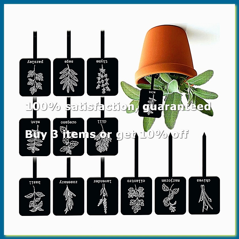 Gardening Tools Names - 24 étiquettes de plantes en acrylique,