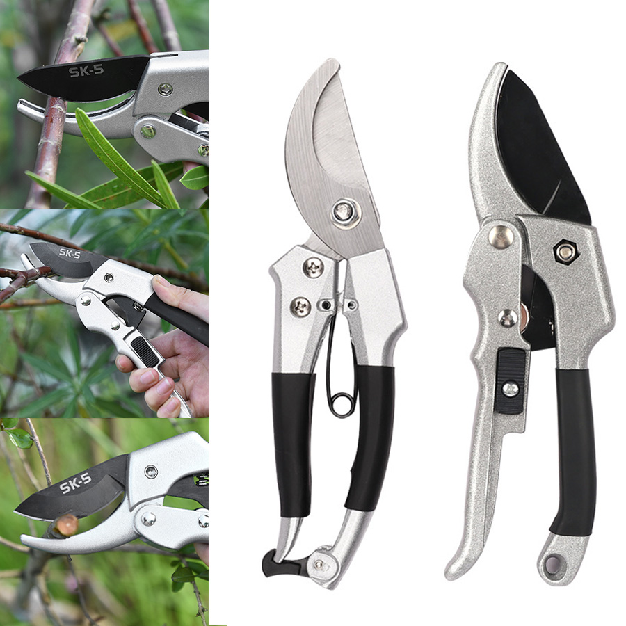 Gardening Tools For Beginners - Ciseaux de jardin à cliquet pour