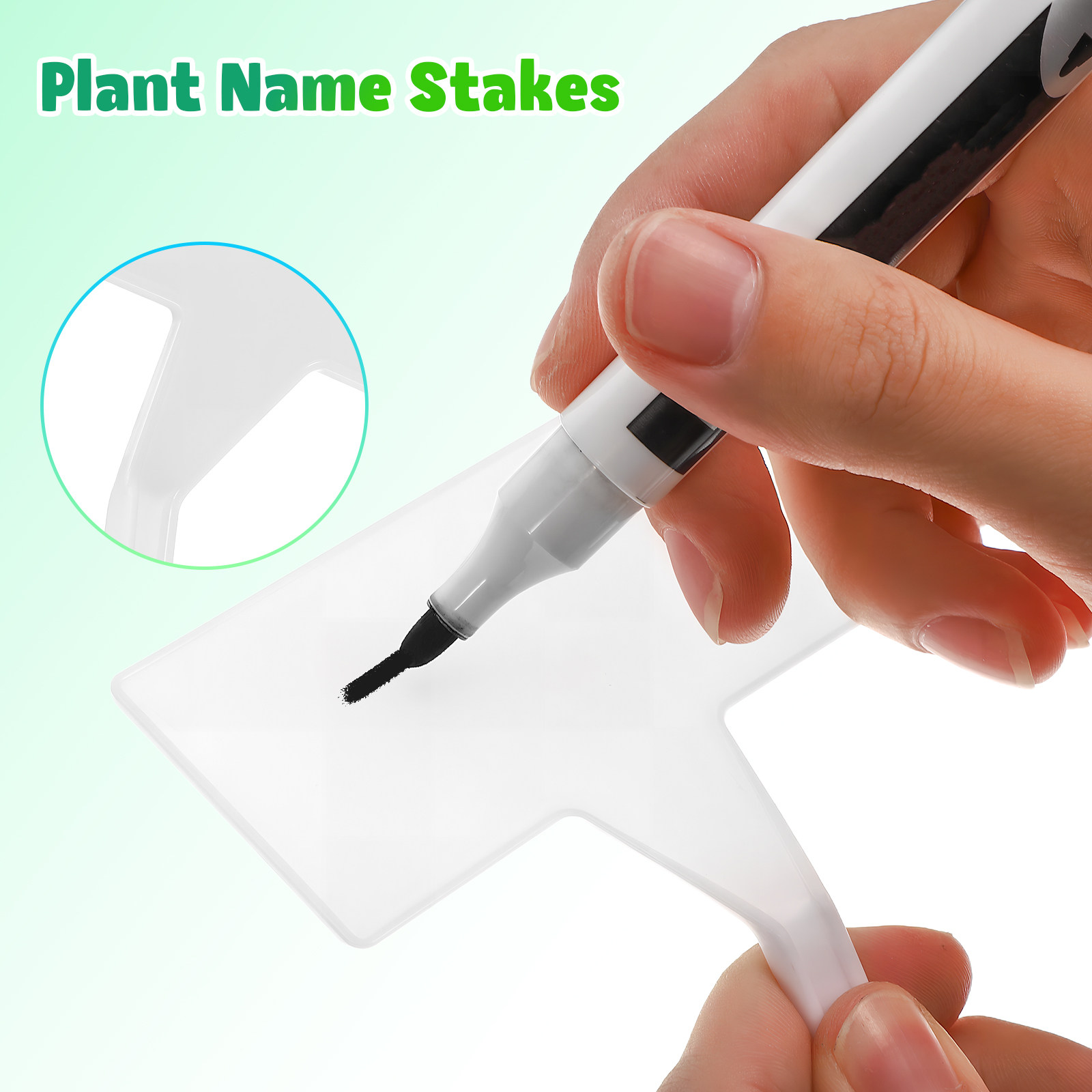 Gardening Tools Names - 35 étiquettes de plantes vierges en