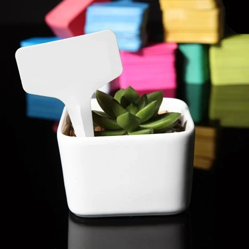 Gardening Tools Names - Étiquettes nominatives de plantes en plastique