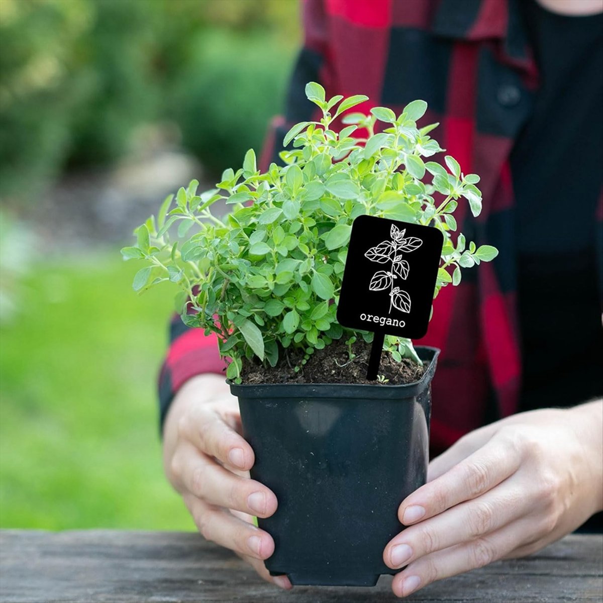 Gardening Tools Names - AA14 24 étiquettes de plantes en