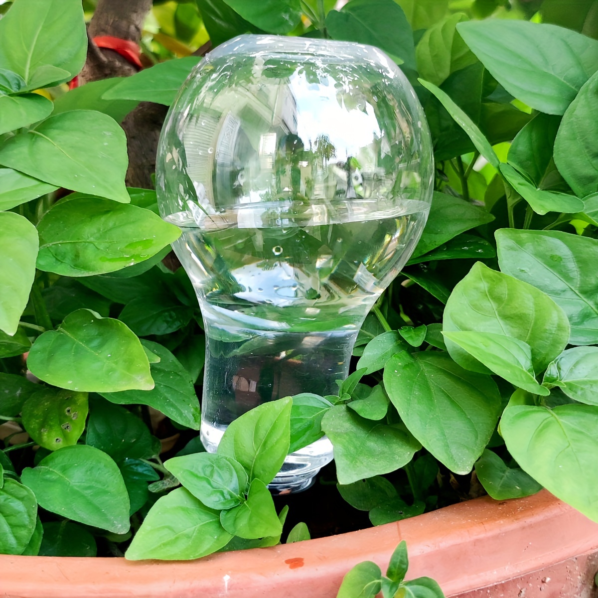 Outil d'arrosage automatique d - Gardening Tool Diy avis et prix
