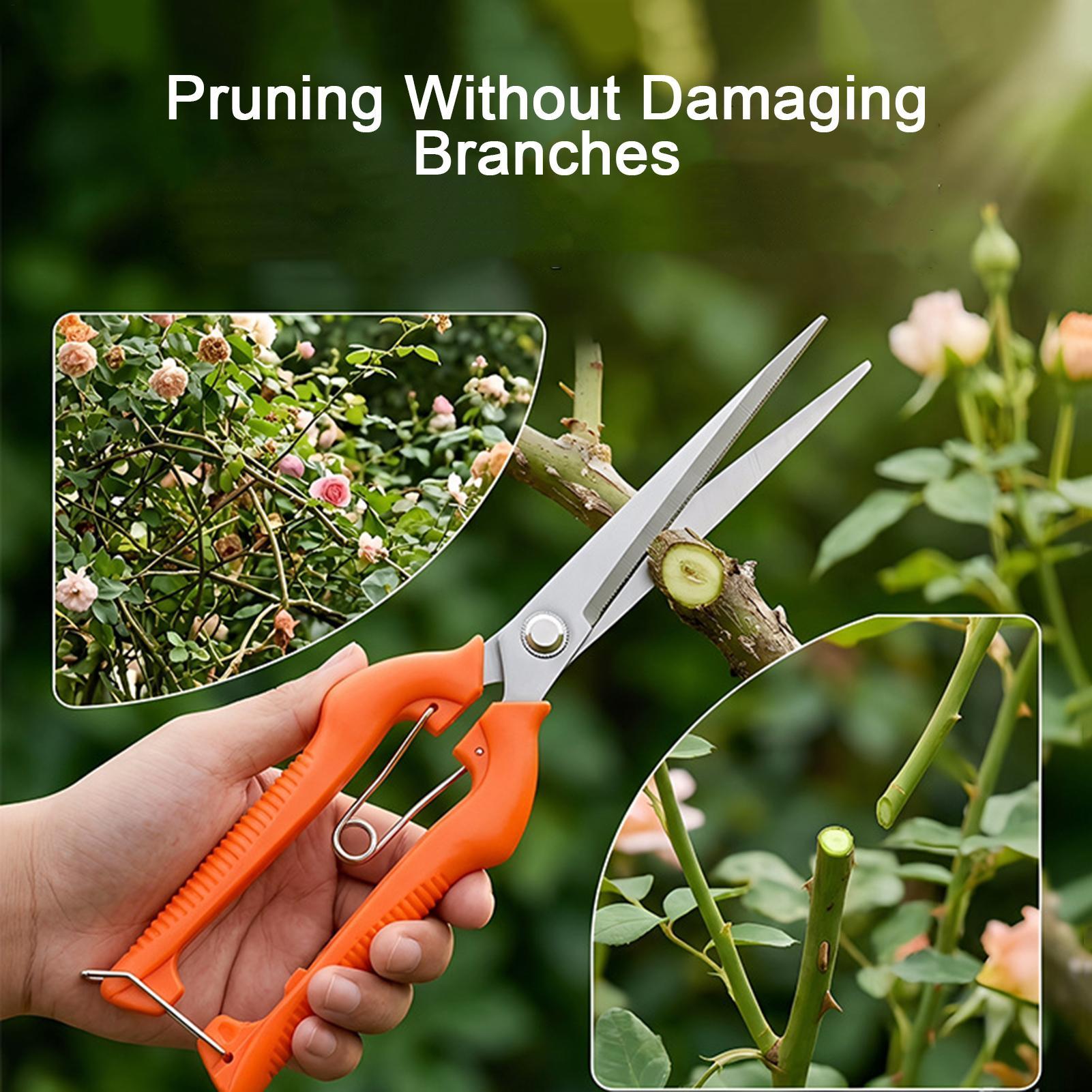 Sécateur professionnel en acie - Gardening Tools For Beginners avis et prix