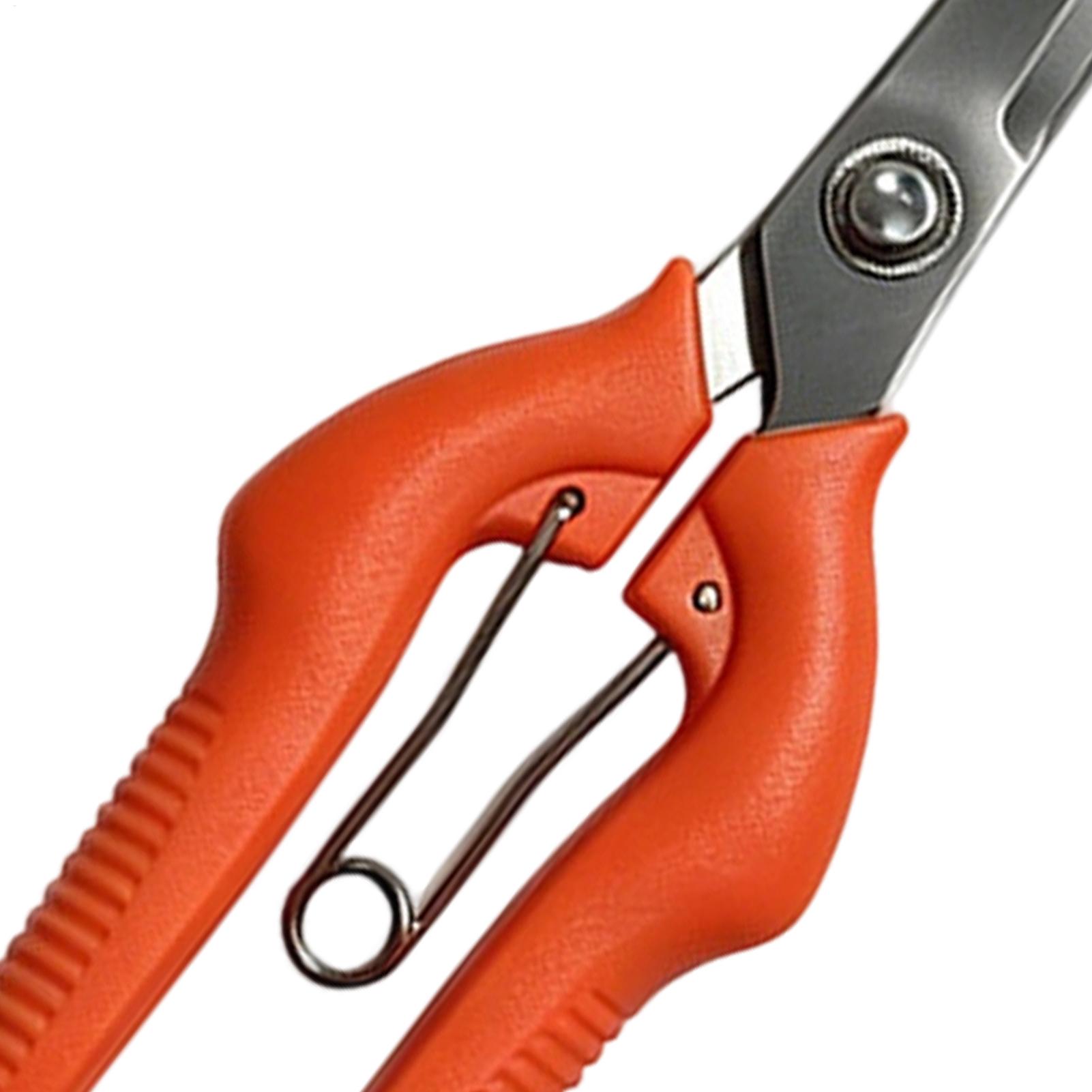 Sécateur professionnel en acie - Gardening Tools For Beginners avis et prix