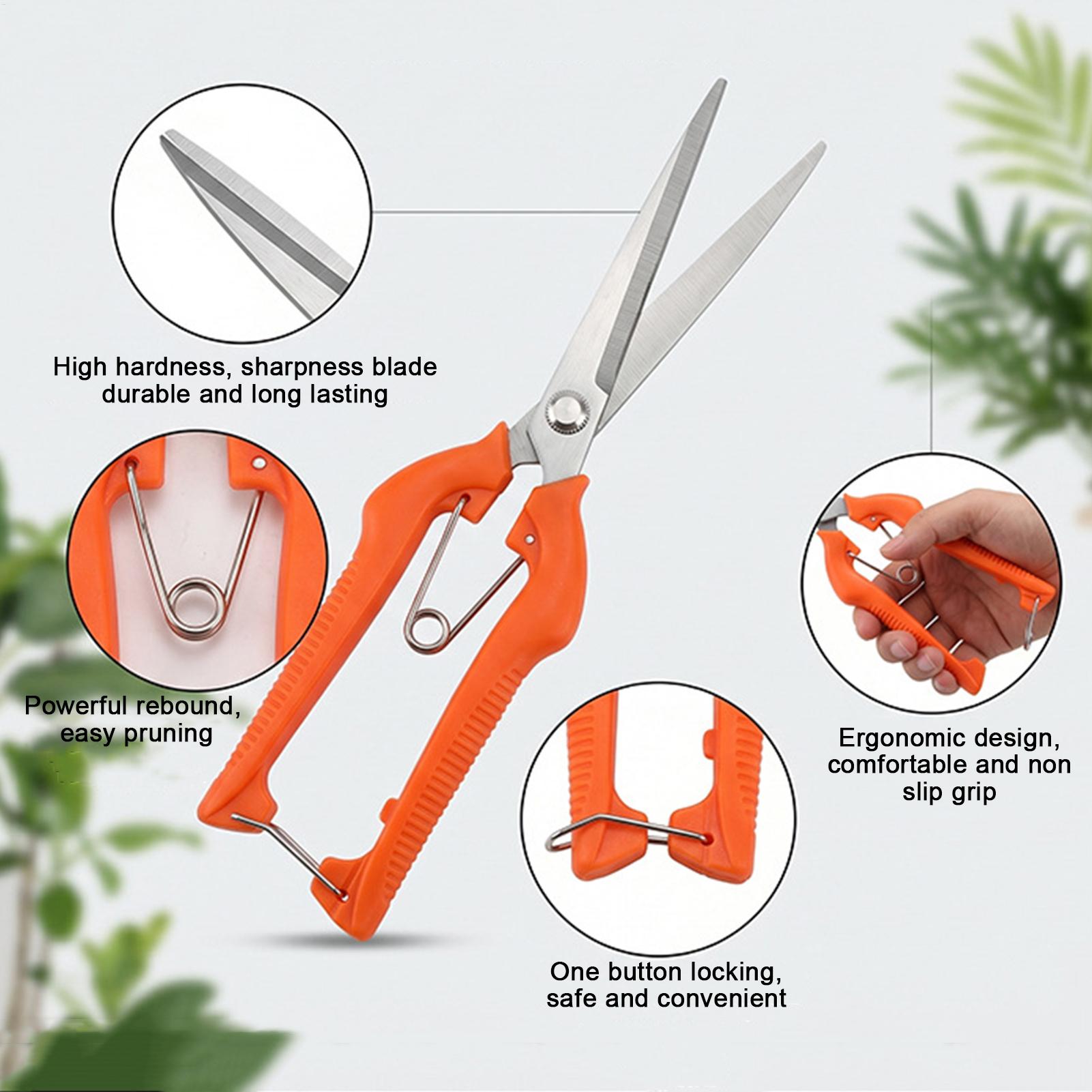 Sécateur professionnel en acie - Gardening Tools For Beginners avis et prix