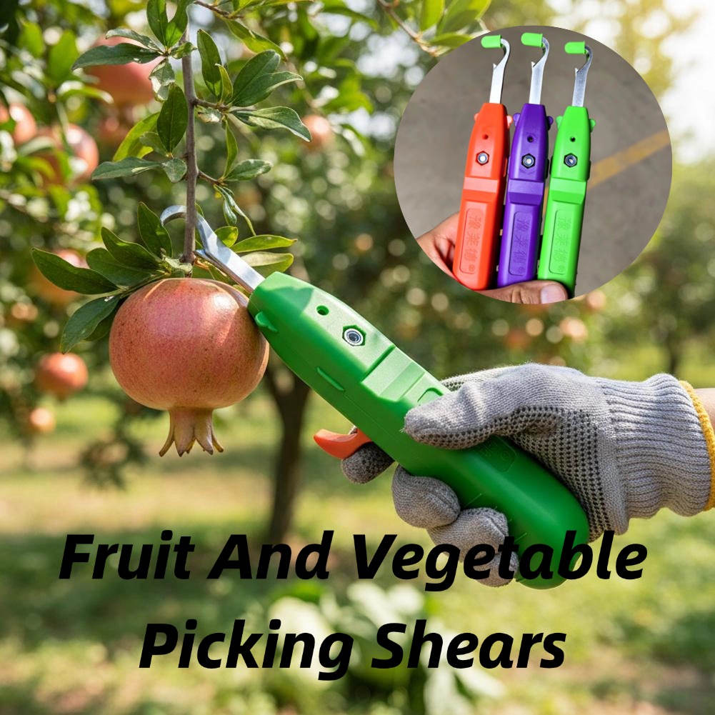 Ciseaux de cueillette de fruit - Gardening Tools Hand avis et prix