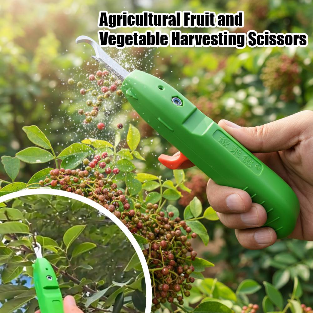Ciseaux de cueillette de fruit - Gardening Tools Hand avis et prix