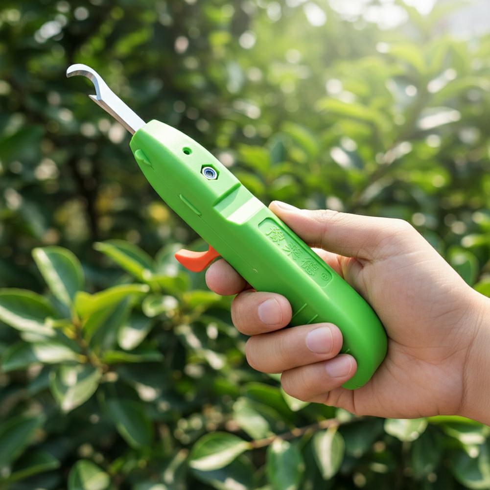 Ciseaux de cueillette de fruit - Gardening Tools Hand avis et prix