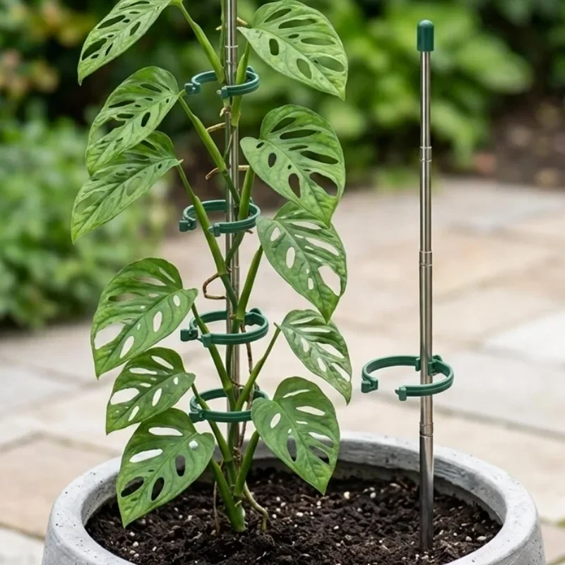 5/1 Pièces Anneaux de Soutien  - Gardening Tools Green avis et prix