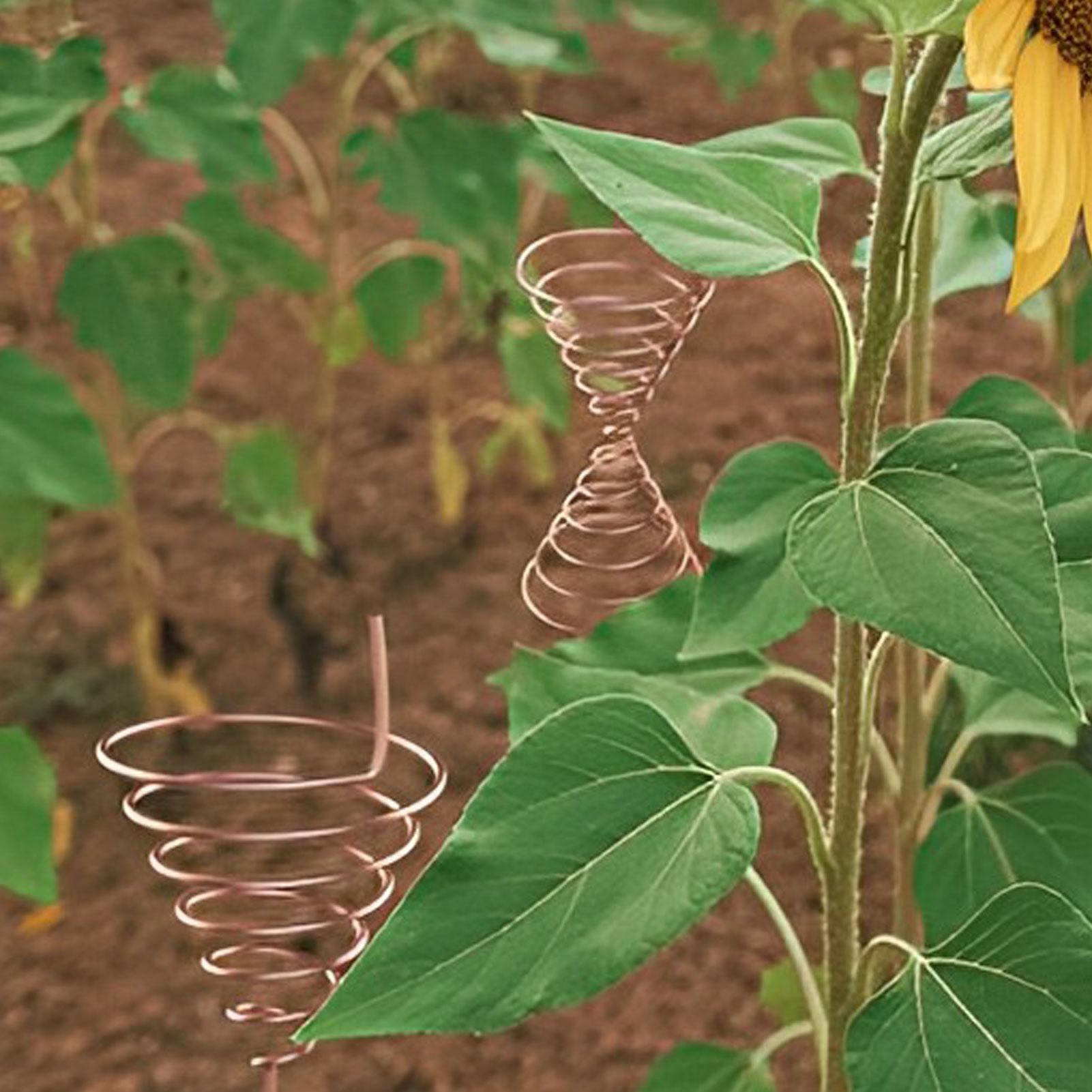 Jig de bobinage pour électrocu - Gardening Tool Diy avis et prix