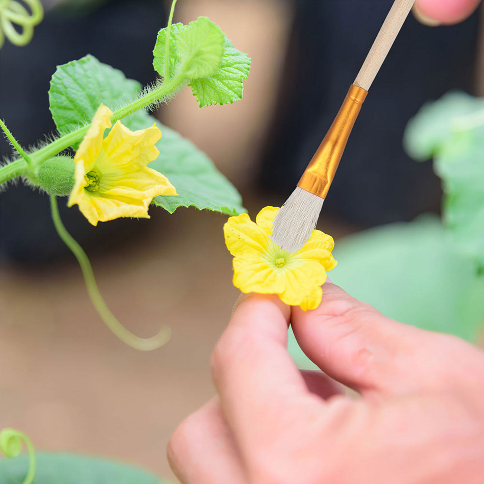 Kit de 16 brosses à fleurs pou - Gardening Tools Hand avis et prix
