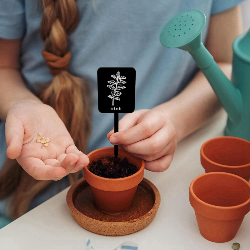 24 étiquettes de plantes en ac - Gardening Tools Names avis et prix