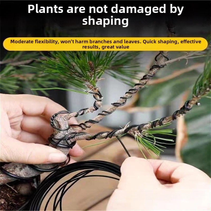 Fils de bonsaï en aluminium de - Gardening Tool Diy avis et prix