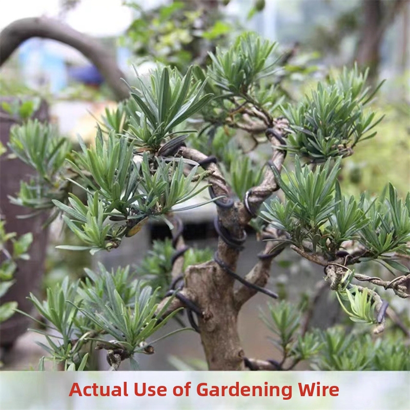 Fils de bonsaï en aluminium de - Gardening Tool Diy avis et prix