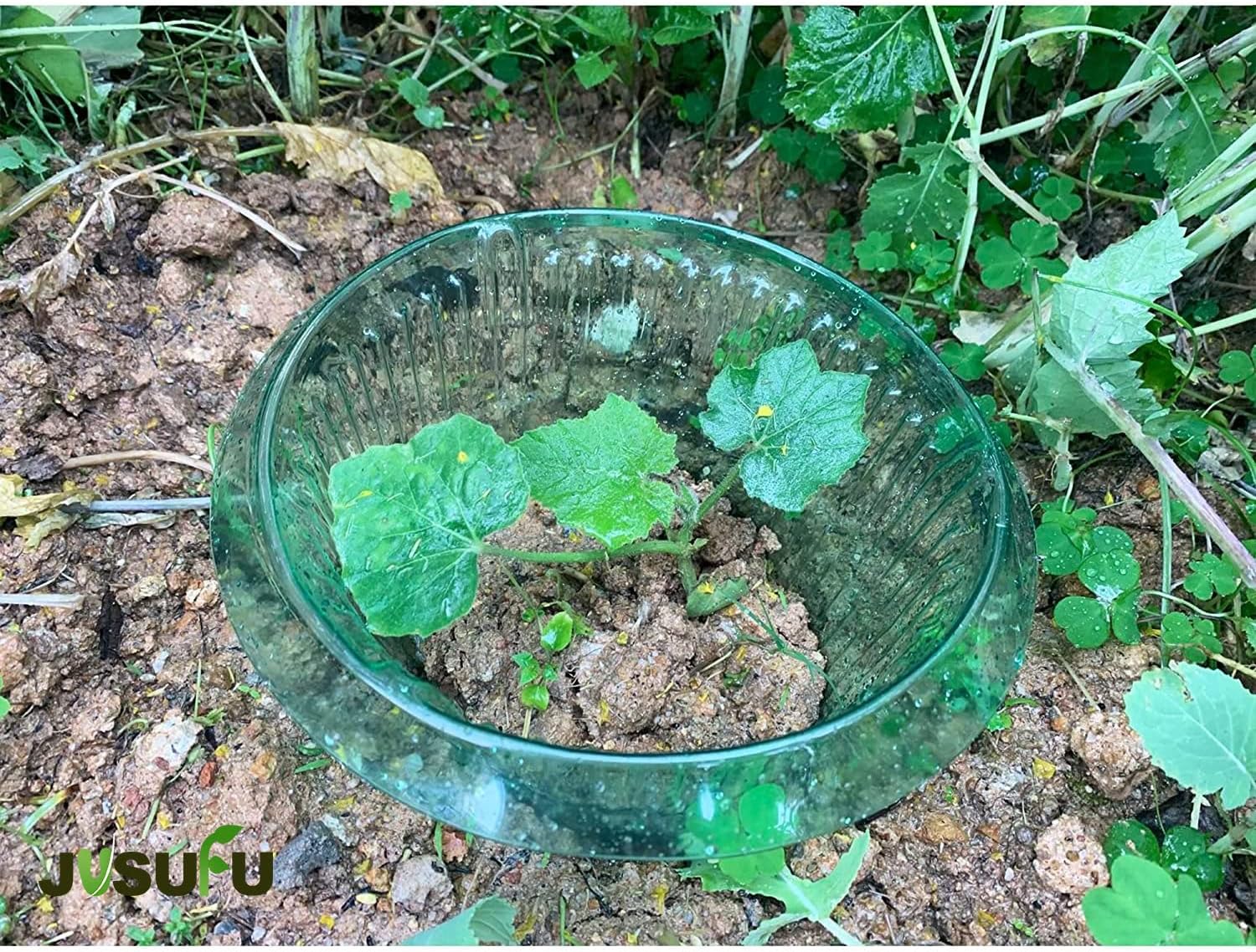 1/30 pièces Anneaux de protect - Gardening Tools Green avis et prix