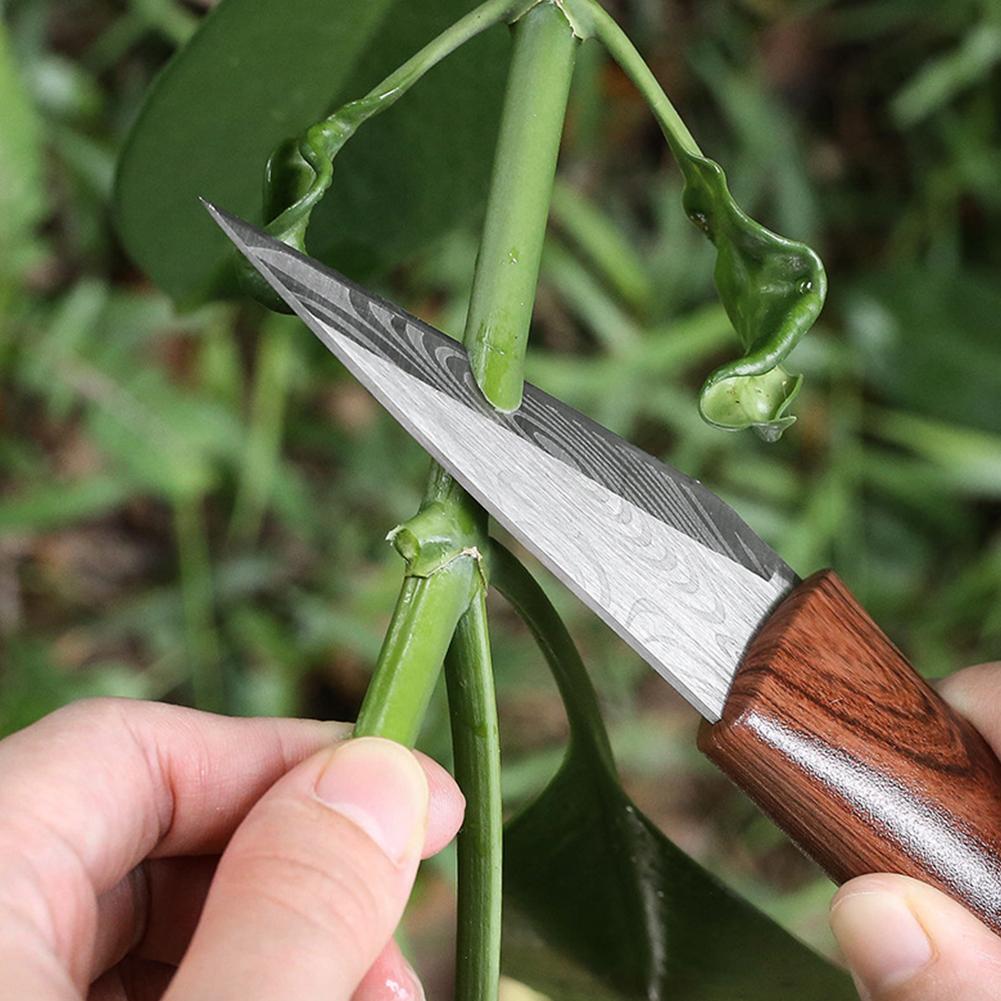 Couteau de greffage Sharp avec - Gardening Tools For Beginners avis et prix