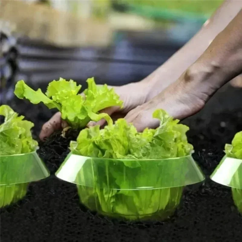 Plantes limace Protection anne - Gardening Tools Green avis et prix