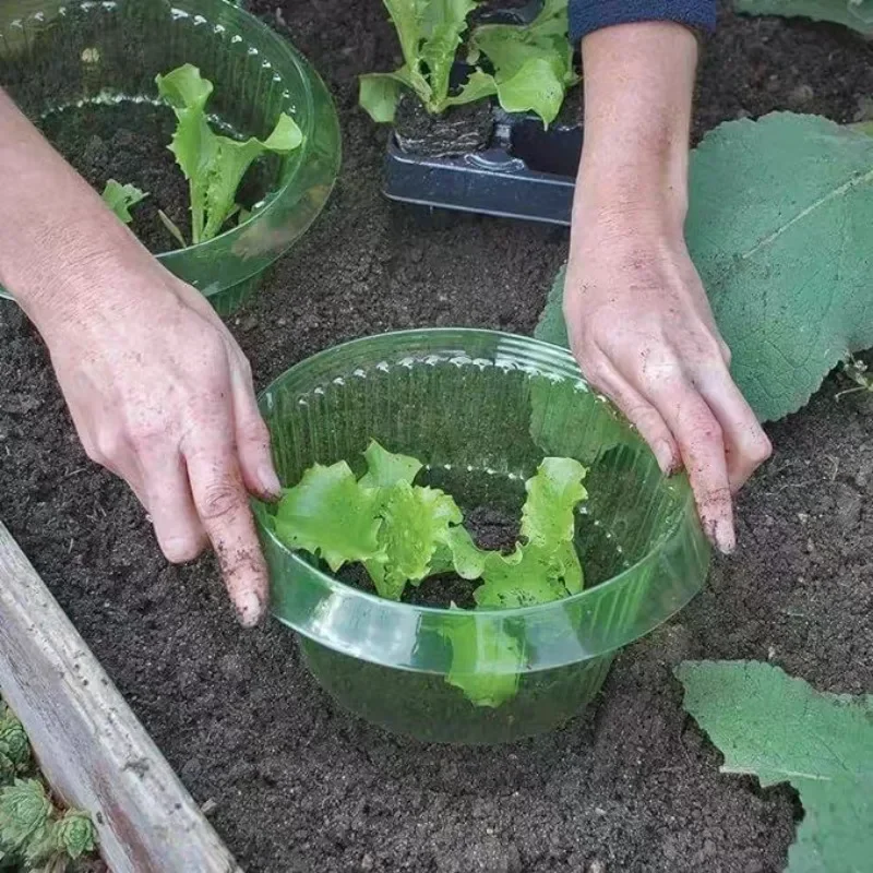 Plantes limace Protection anne - Gardening Tools Green avis et prix