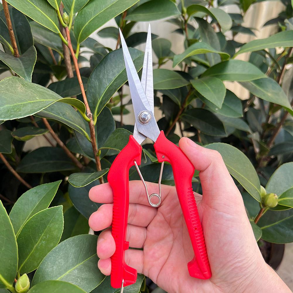 Sécateur de jardin professionn - Gardening Tools Hand avis et prix