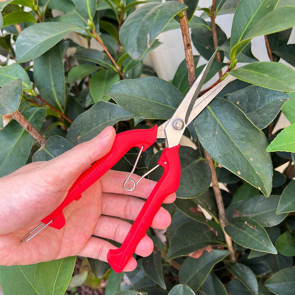 Sécateur de jardin professionn - Gardening Tools Hand avis et prix