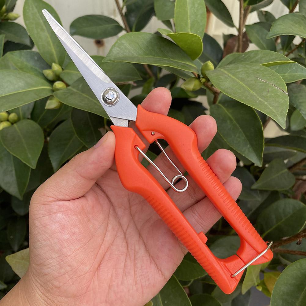 Sécateur de jardin professionn - Gardening Tools Hand avis et prix
