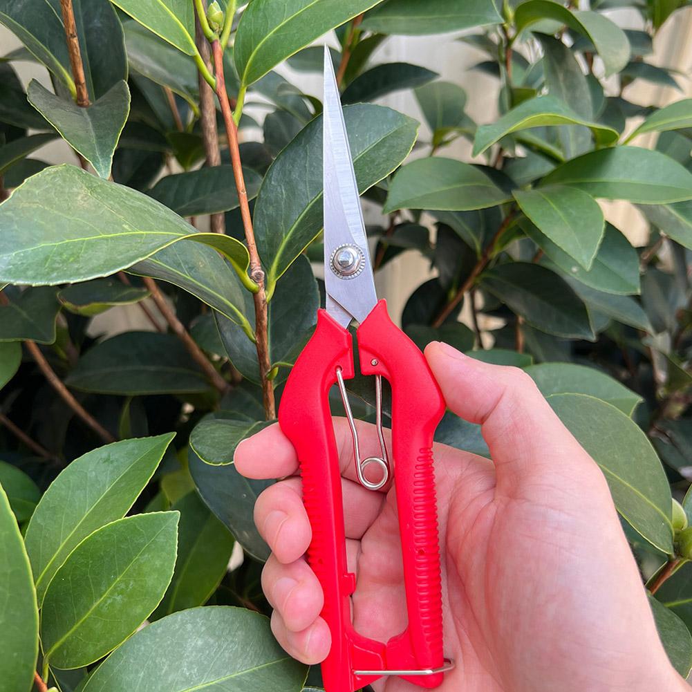 Sécateur de jardin professionn - Gardening Tools Hand avis et prix