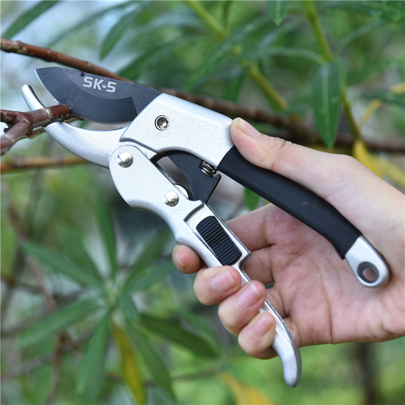 Ciseaux de jardin à cliquet po - Gardening Tools For Beginners avis et prix
