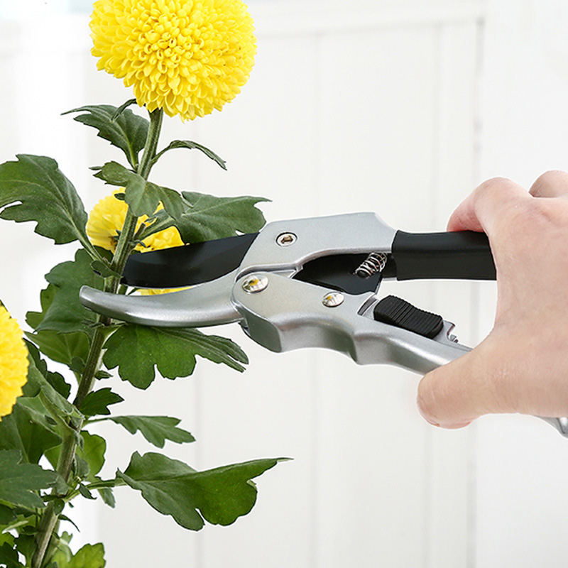 Ciseaux de jardin à cliquet po - Gardening Tools For Beginners avis et prix