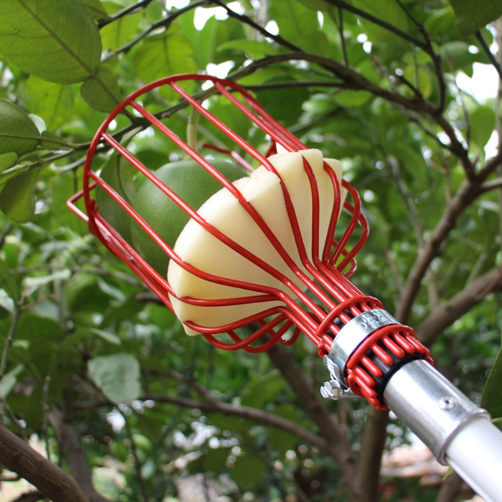 Tête de cueilleur de fruits en - Gardening Tools Hand avis et prix