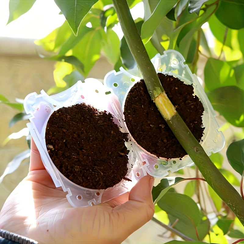 Kit de 10 pièces pour la propa - Gardening Tools Box avis et prix