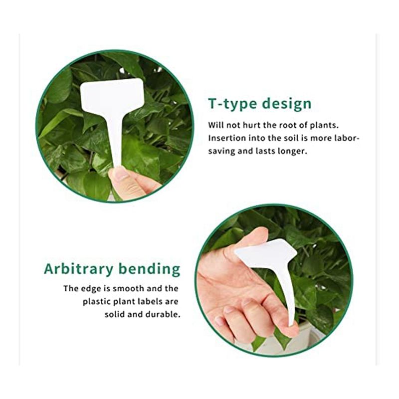 Étiquettes de plantes RANA 300 - Gardening Tools Names avis et prix