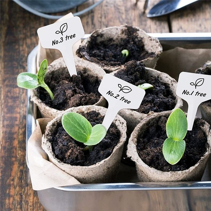 Étiquettes de plantes RANA 300 - Gardening Tools Names avis et prix
