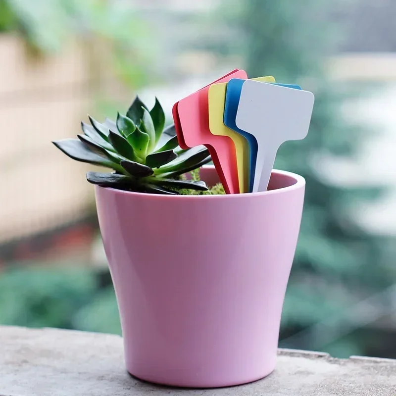 Étiquettes nominatives de plan - Gardening Tools Names avis et prix