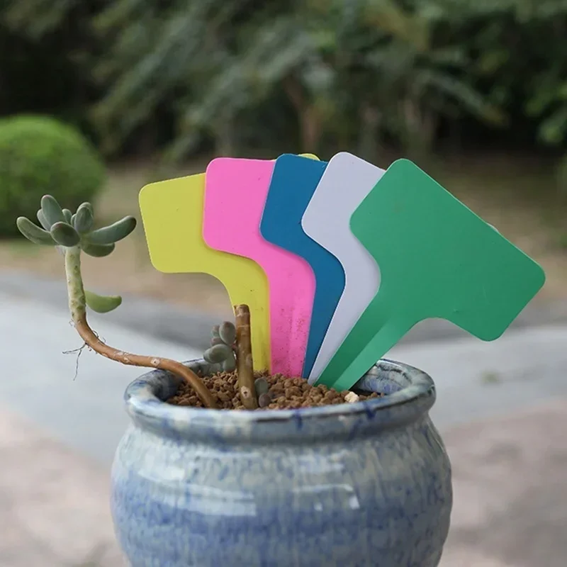 Étiquettes nominatives de plan - Gardening Tools Names avis et prix