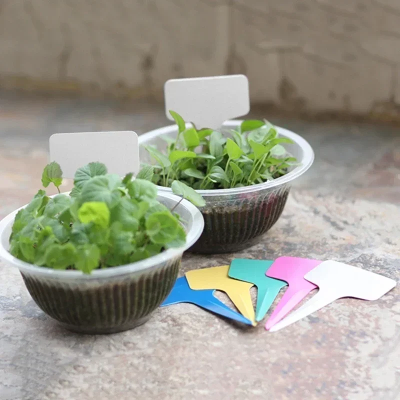 Étiquettes nominatives de plan - Gardening Tools Names avis et prix