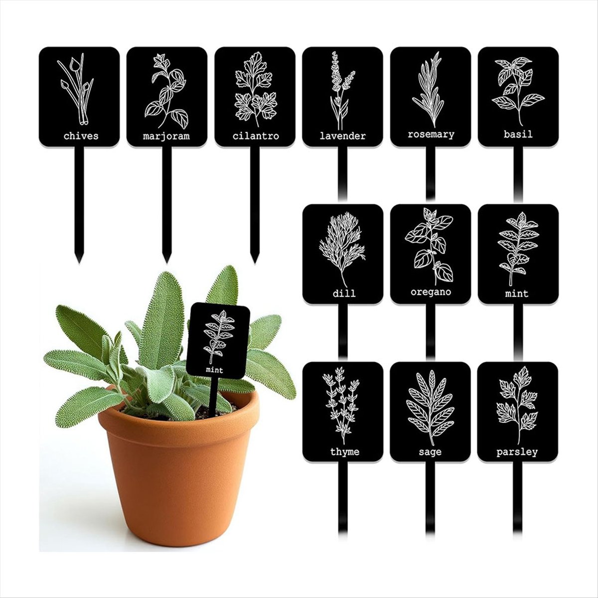 AA14 24 étiquettes de plantes  - Gardening Tools Names avis et prix